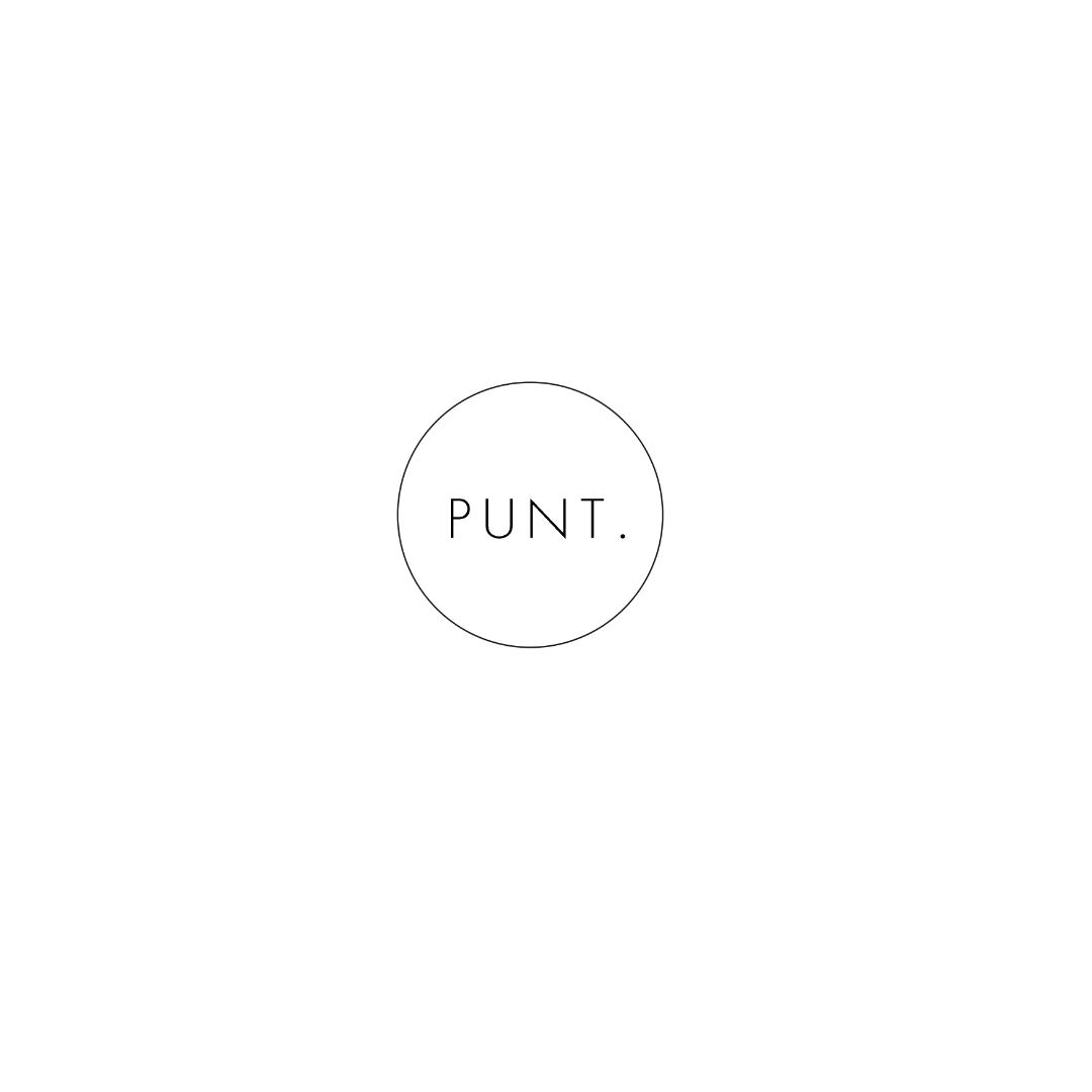 Logo PUNT. vzw