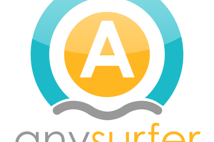 logo AnySurer