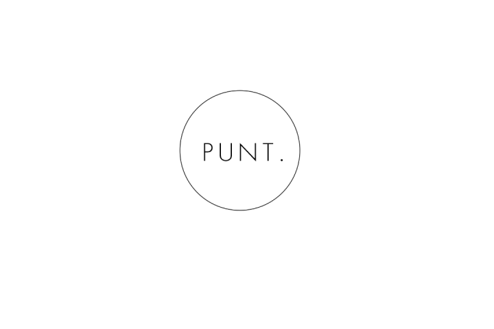 Logo PUNT. vzw